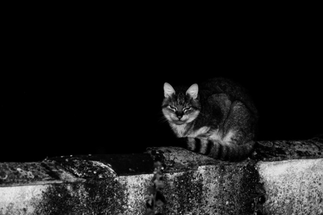 20201103_TM201678 thierry martin