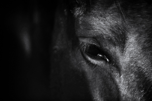 20201119_TM201949a 20201119_TM201949a