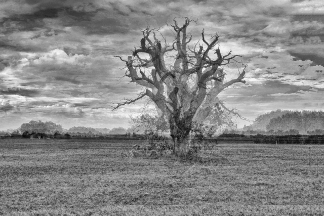 pointscardinaux02_20221020_DSCF0603bw