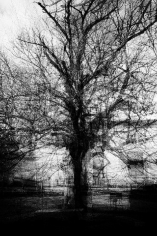 pointscardinaux03_20230109_DSCF1537b