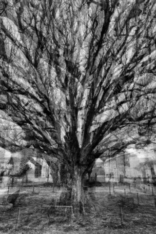 pointscardinaux04_20230110_DSCF1520b