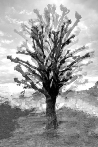 pointscardinaux06_DSCF2963bw