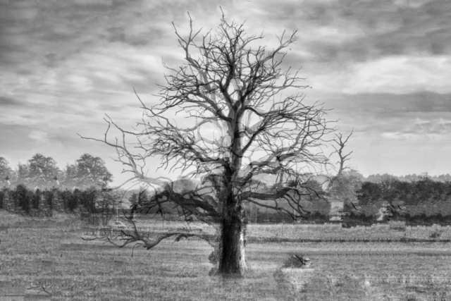 pointscardinaux52_DSCF0556bw